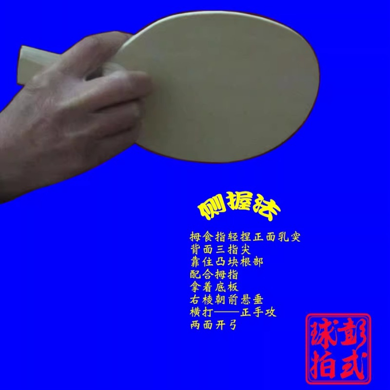Chinese/Japanese Style Table T - огляд і ціна Table Tennis Umpire