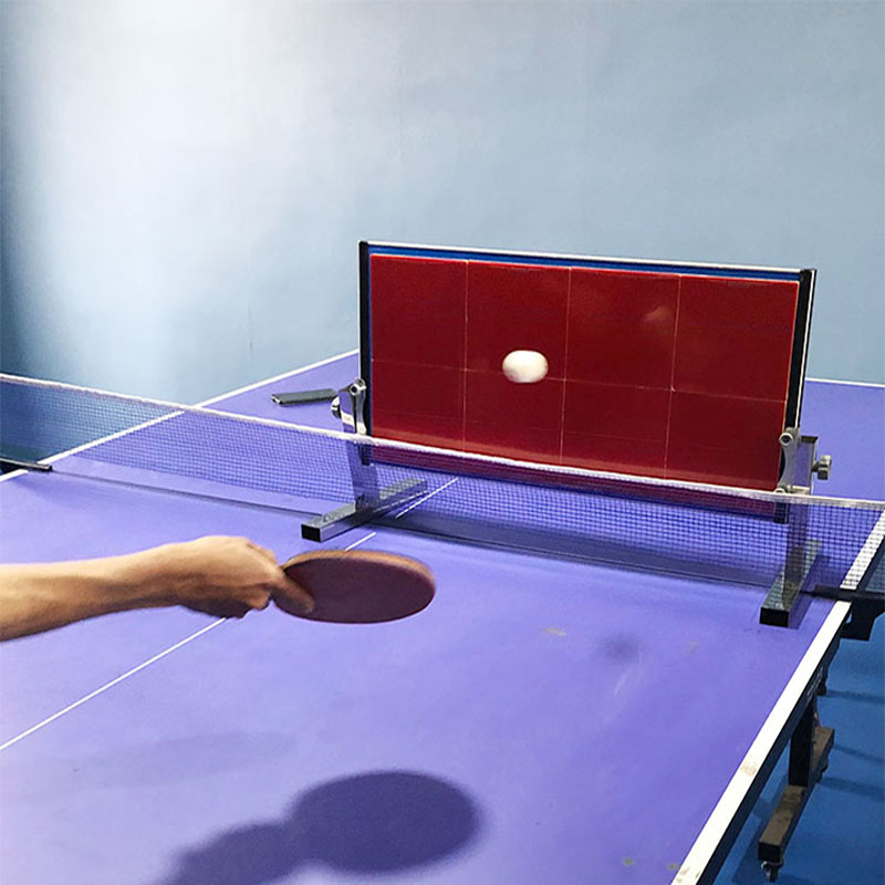 Home Table Tennis Rebound Boar - огляд і ціна Table Tennis Single